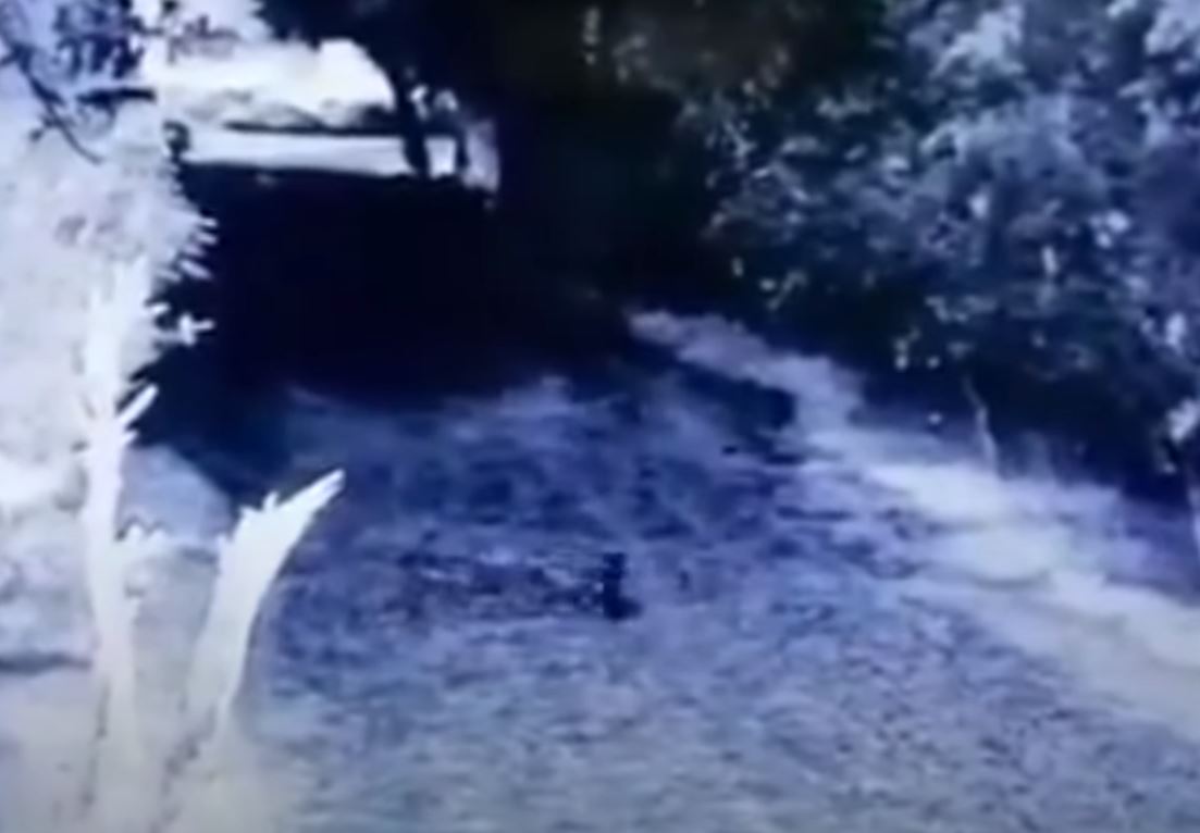 Камера видеонаблюдения зафиксировала существо, похожее на гоблина, перебегающее дорогу