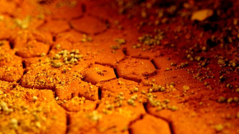 Исследование экстремальных ситуаций в поисках жизни на Марсе