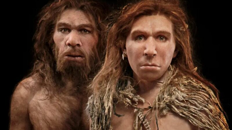 Плохое воспитание могло привести к вымиранию неандертальцев