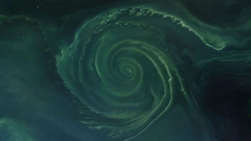 Гигантскую зеленую спираль заметили из космоса в Балтийском море