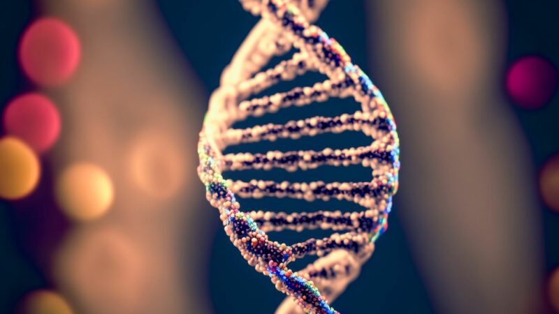 Гены составляют всего 2% нашей ДНК, ученые до сих пор озадачены 98%