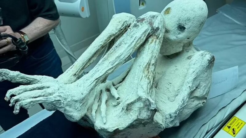 Новые перуанские «инопланетные» мумии могут отправить в США для проверки