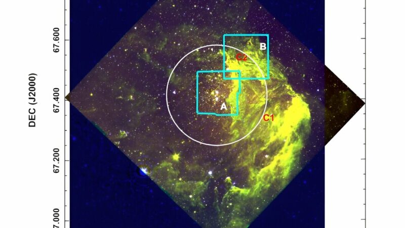 Наблюдения исследуют звездное содержимое близлежащего молодого рассеянного скопления Беркли 59.