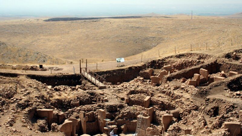 12 000-летняя резьба в Гёбекли-Тепе может быть самым древним календарем