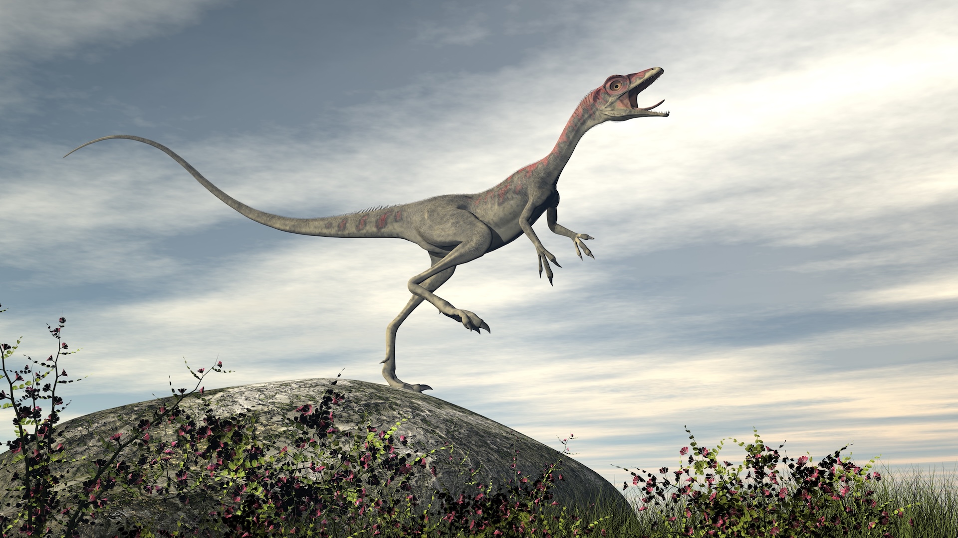 Кто был самым быстрым динозавром?