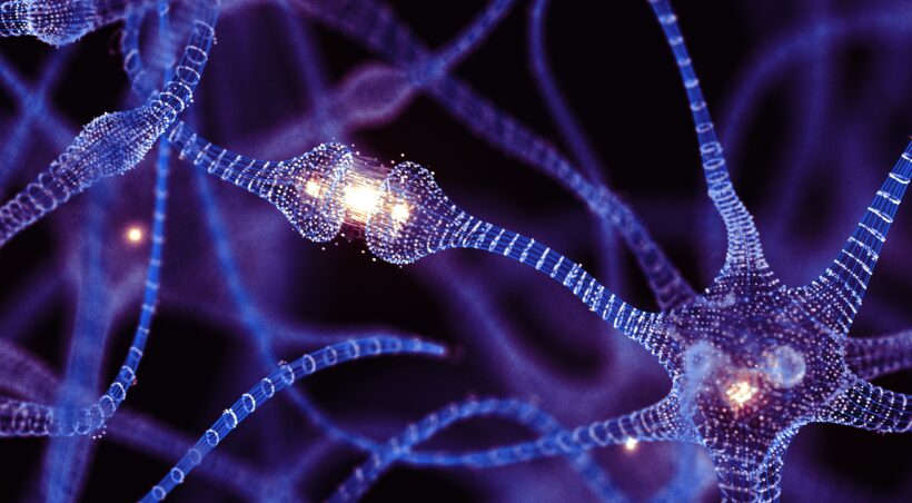«Мозг взрослых способен рождать новые нейроны»: Учёные подтвердили спорную теорию