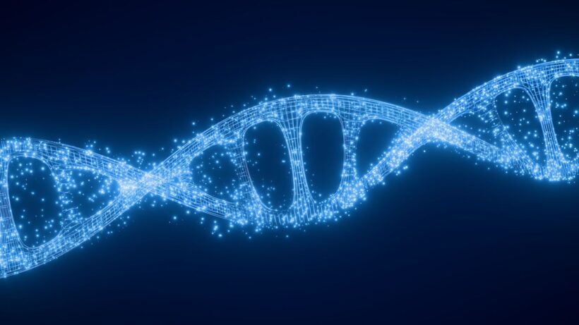 Гены гибернации: как спячка животных может изменить медицину будущего