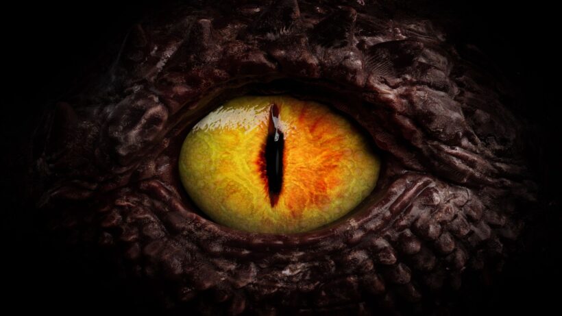 Драконы вместо лиц: таинственный случай прозометаморфопсии