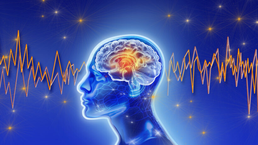 Провалы сознания: Что происходит, когда мозг «отключается»