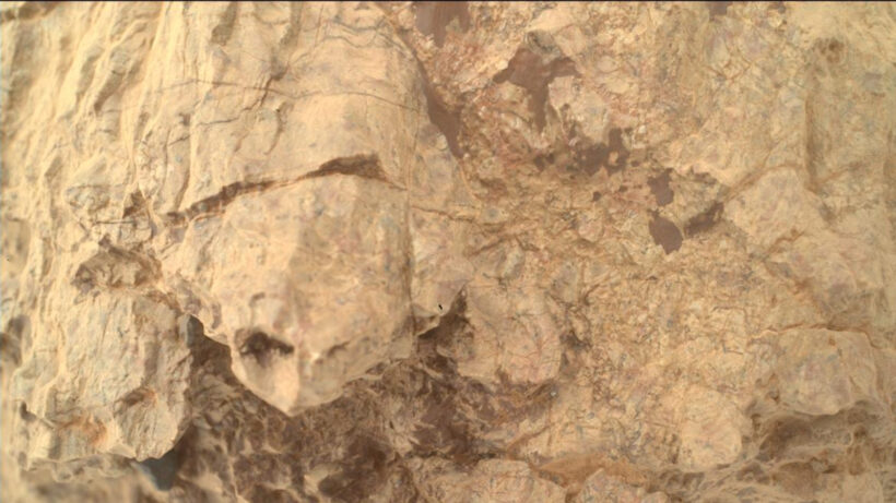 Черепаха на Марсе: марсоход Perseverance запечатлел необычную скалу