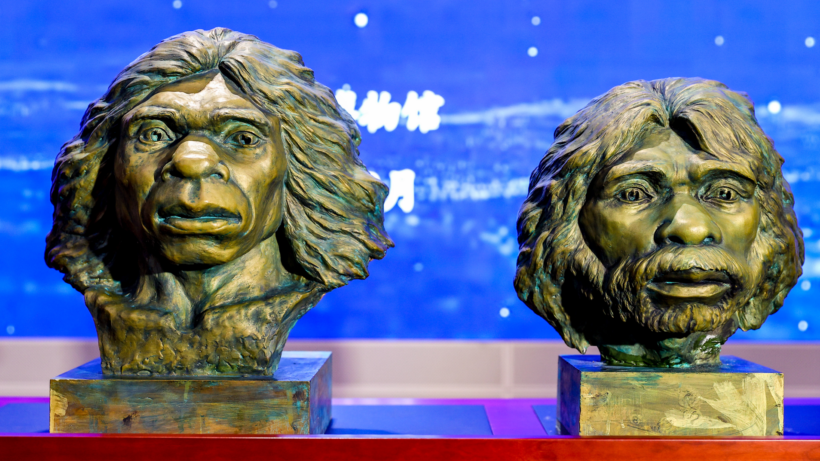 Миллионолетняя загадка: восстановленный череп проливает свет на таинственных денисовцев