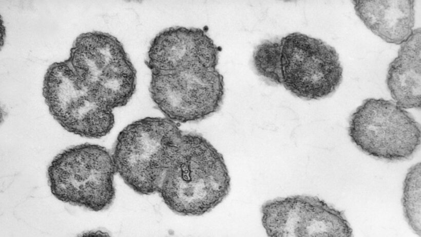 Необычный случай: Отравление 3-летнего мальчика в Техасе