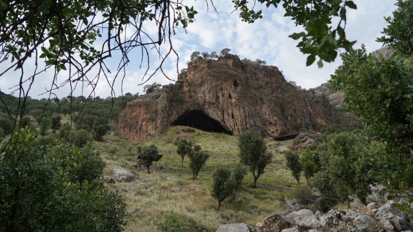 Неандертальцы: не просто мясоеды. Сложная диета наших древних родственников