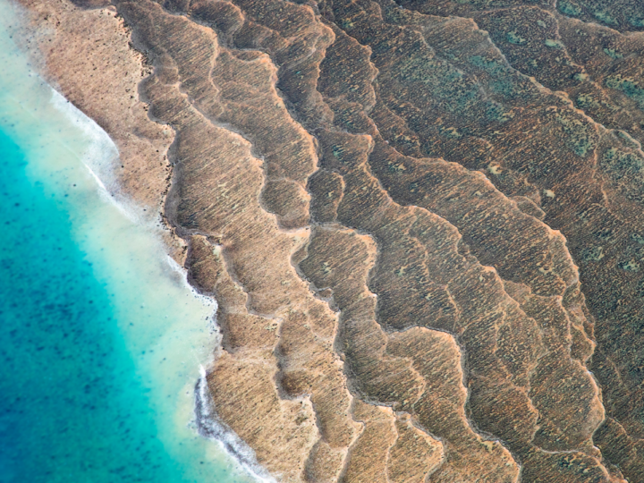 Как распад суперконтинента Нуна создал условия для сложной жизни на Земле