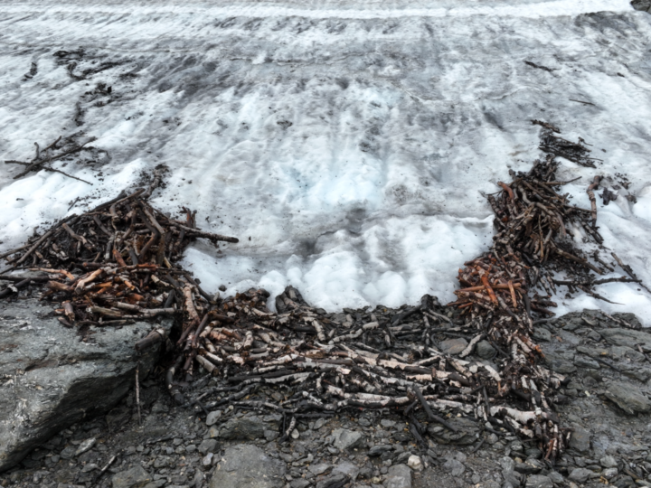 Уникальная находка: 1500-летняя ловушка для оленей в Норвегии