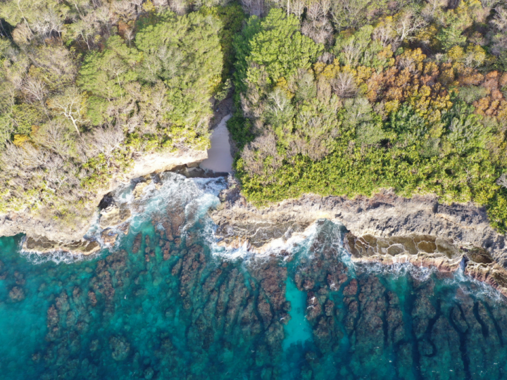 Загадка подводных вулканов: Как разломы континентов влияют на магматическую активность