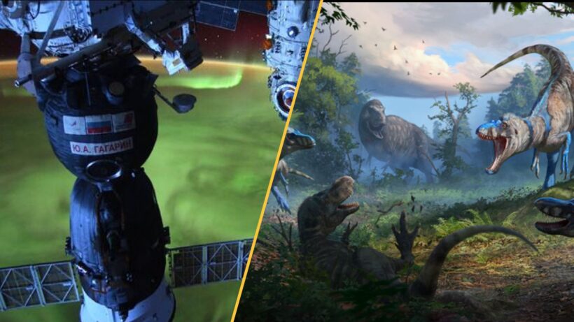 В центре внимания: научные открытия недели