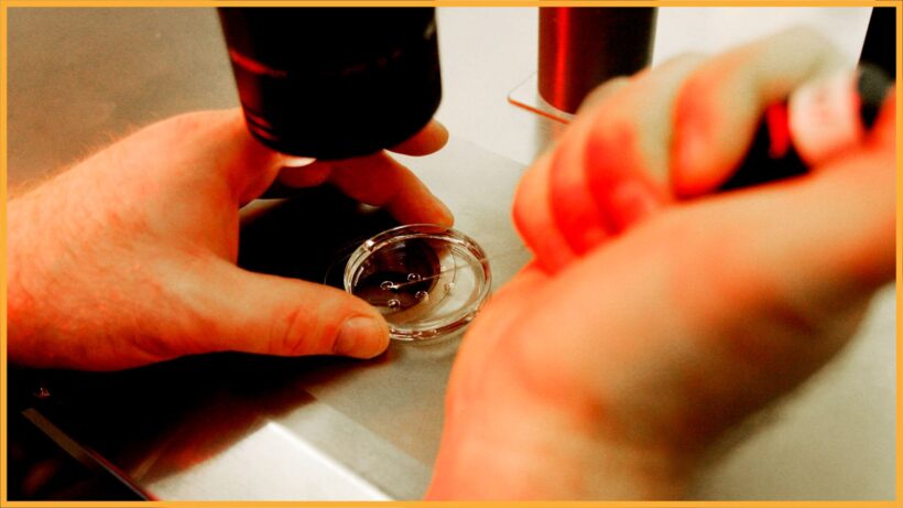 Необходимость исследований с использованием человеческих фетальных тканей