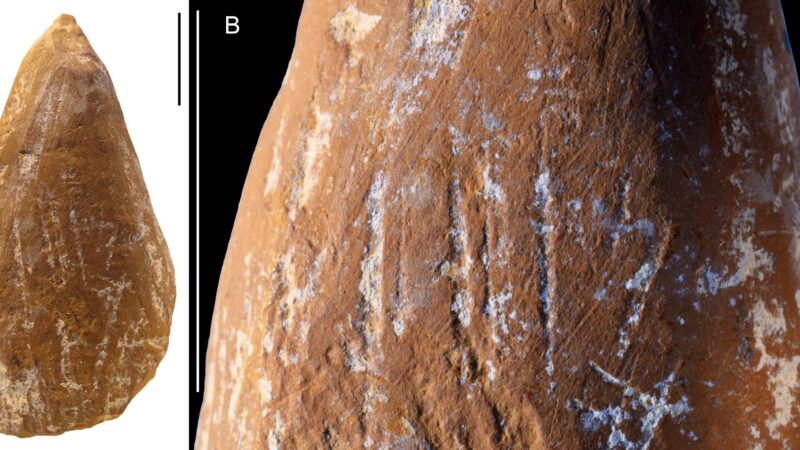 Неандертальцы и их удивительные массады из охры