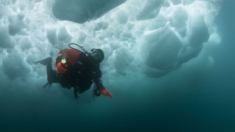 Исследование Подводного Моста Беринга: Поиски Древних Миграций