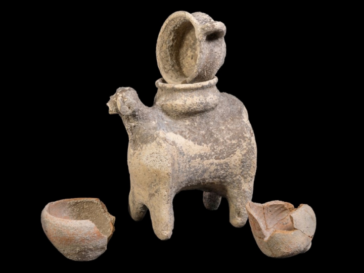 Уникальные находки в окрестностях Армагеддона