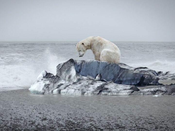 Угроза климатических переходов: как избежать катастрофы