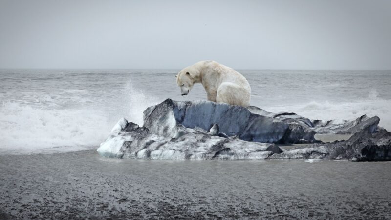 Угроза климатических переходов: как избежать катастрофы