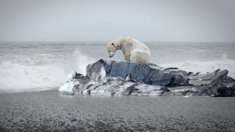 Угроза климатических переходов: как избежать катастрофы