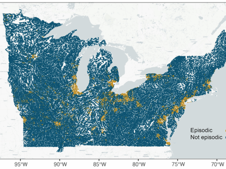 Скрытая угроза: как зимние реагенты отравляют водные экосистемы