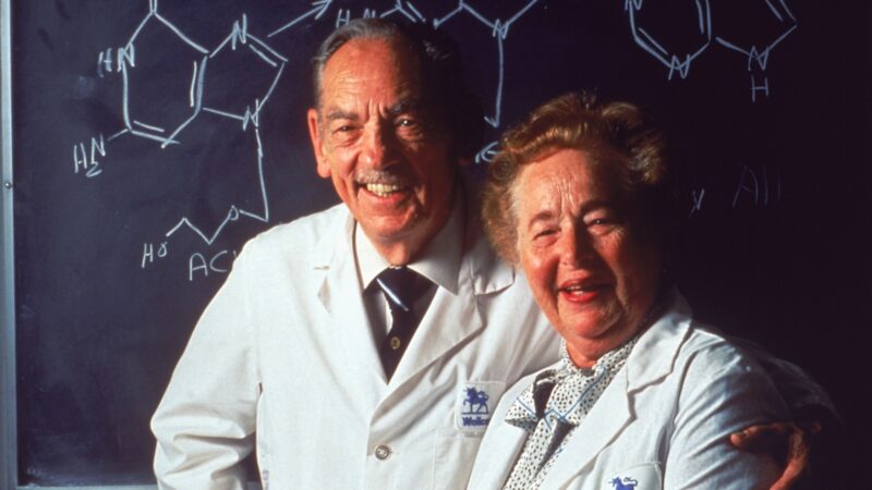 Рассвет рациональной химиотерапии: Как 6-меркаптопурин подарил надежду детям с лейкозом