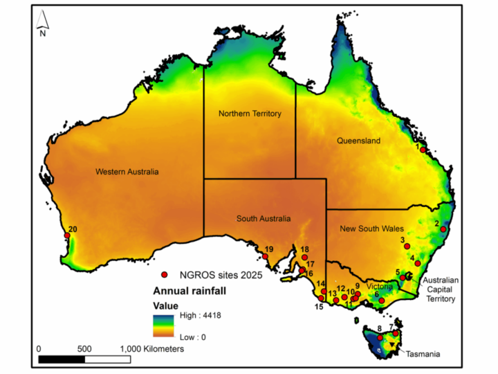 Когда дождь становится подземным кладом: в поисках порога подпитки грунтовых вод