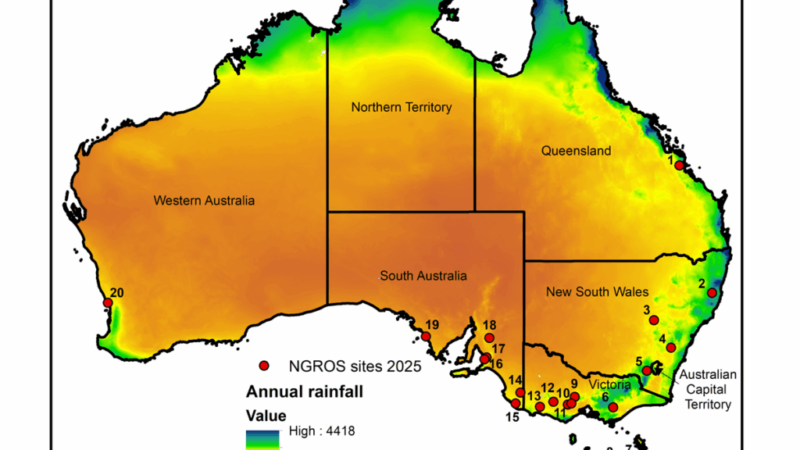 Когда дождь становится подземным кладом: в поисках порога подпитки грунтовых вод