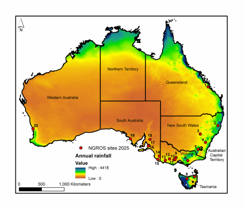 Когда дождь становится подземным кладом: в поисках порога подпитки грунтовых вод