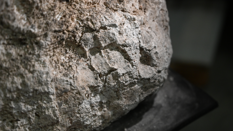 Прикосновение сквозь века: отпечатки пальцев на гипсовых саванах раскрывают ритуалы римской Британии