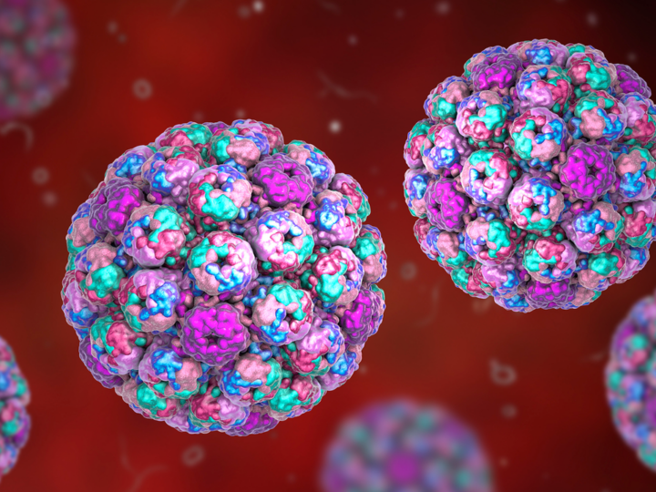 Детская простуда как тихая угроза: как безобидный вирус может прокладывать путь к раку мочевого пузыря