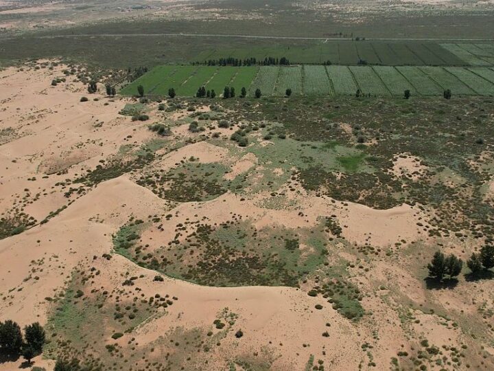 Великая Зелёная Стена Китая: Битва с пустыней