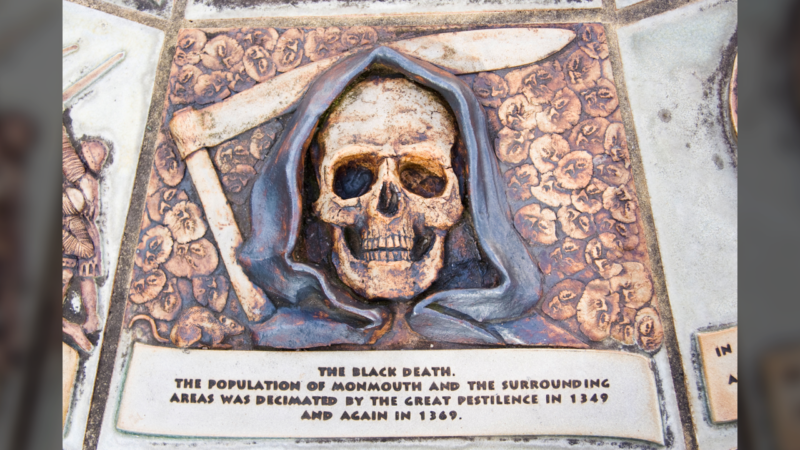 Вулкан как спусковой крючок чумы: как извержение XIV века проложило «Чёрной смерти» дорогу в Европу