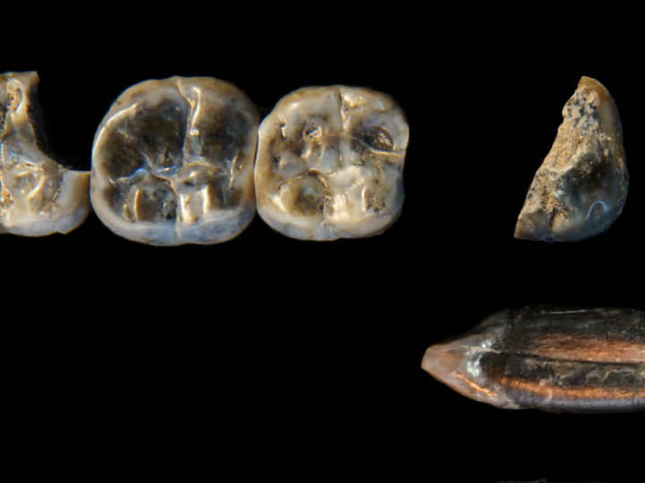 Геномная революция: 10 открытий 2025 года, которые переписали историю человечества
