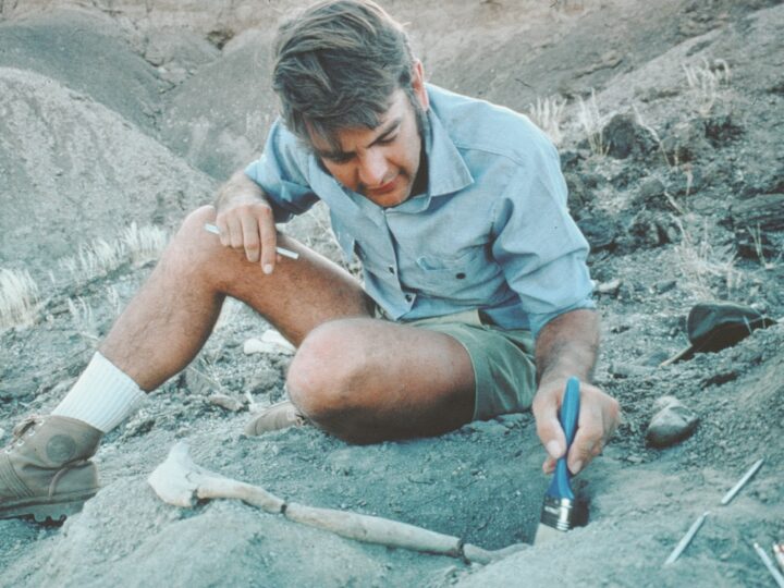 Последний день Люси: как жила и погибла наша трехмиллионнолетняя прамать