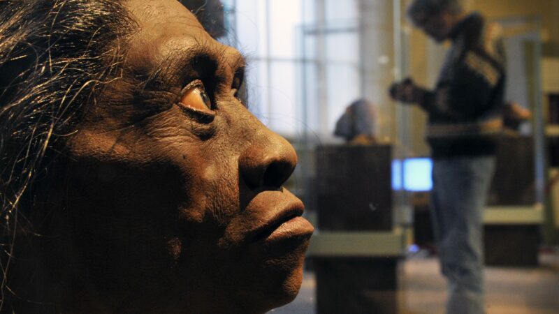 Климатическая загадка «хоббитов»: как засуха и вулкан стерли с лица Земли древних людей с острова Флорес