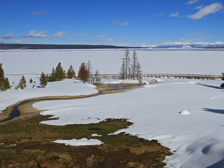 Ледяная пустыня над кипящей бездной: загадки озера Йеллоустоун