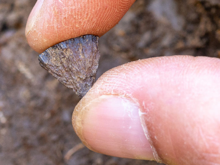 Неандертальцы — первые мастера огня: открытие в Англии переписывает историю человеческих технологий