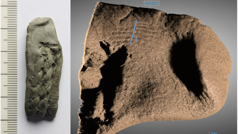 Отпечаток времени: химические секреты корабля древних морских налетчиков раскрывают их происхождение