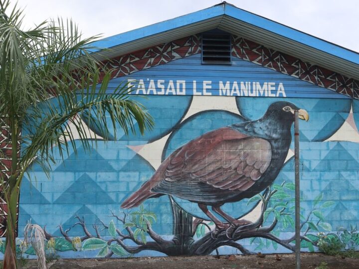 Последний «маленький додо»: Редкая птица обнаружена в Самоа, давая шанс на спасение