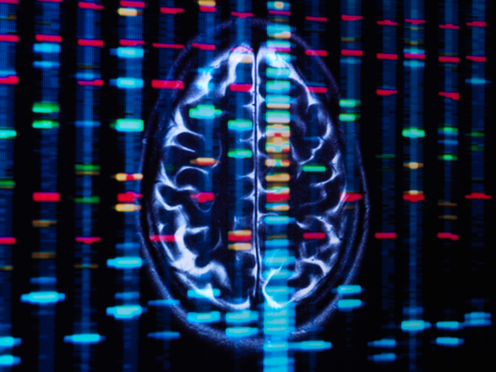 Генетическая карта психики: общие корни пяти групп расстройств