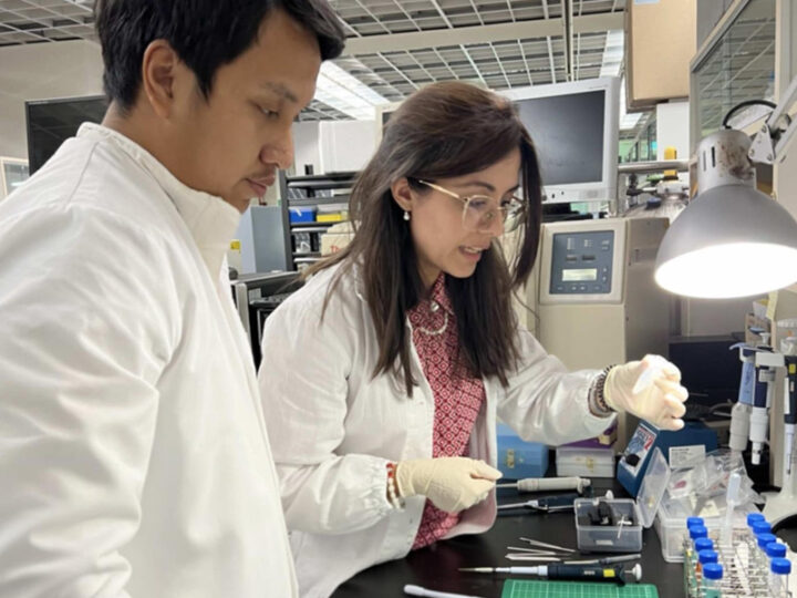 Заморозка надежды: Как криобанки спасают кораллы Треугольника от исчезновения