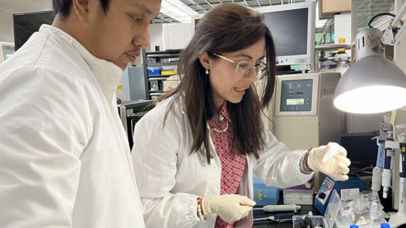 Заморозка надежды: Как криобанки спасают кораллы Треугольника от исчезновения