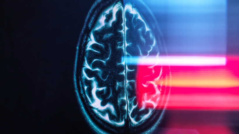 Карта новизны: Учёные нашли в мозге «регулятор», который помогает нам осваивать новую местность