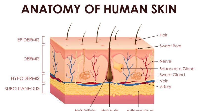 Случайные узоры: что такое травматические татуировки и как от них избавиться