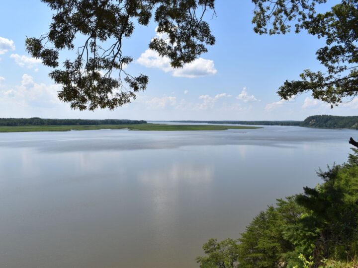 Наследие, найденное в земле: как археологи подтвердили забытые истории народа Раппаханнок